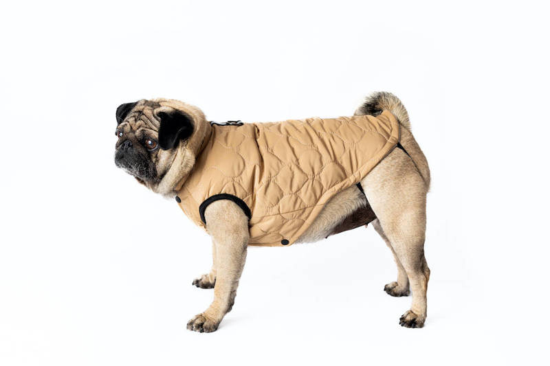 Ubranko dla psa kamizelka kurtka beżowe rozmiar S